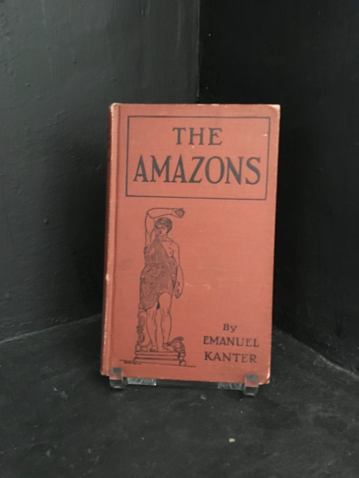 Amazons Marxian Study