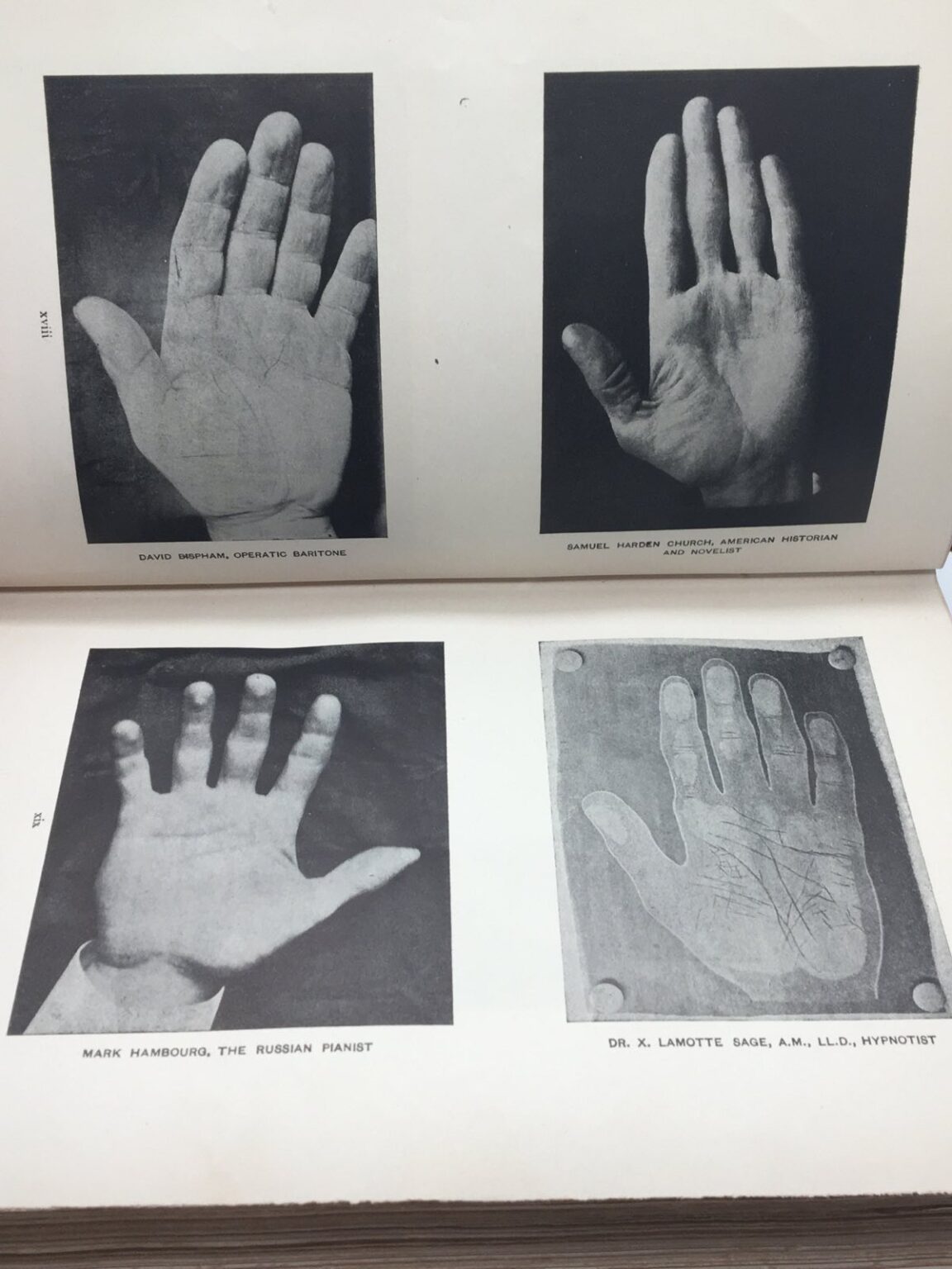 Palmistry Palm Reading